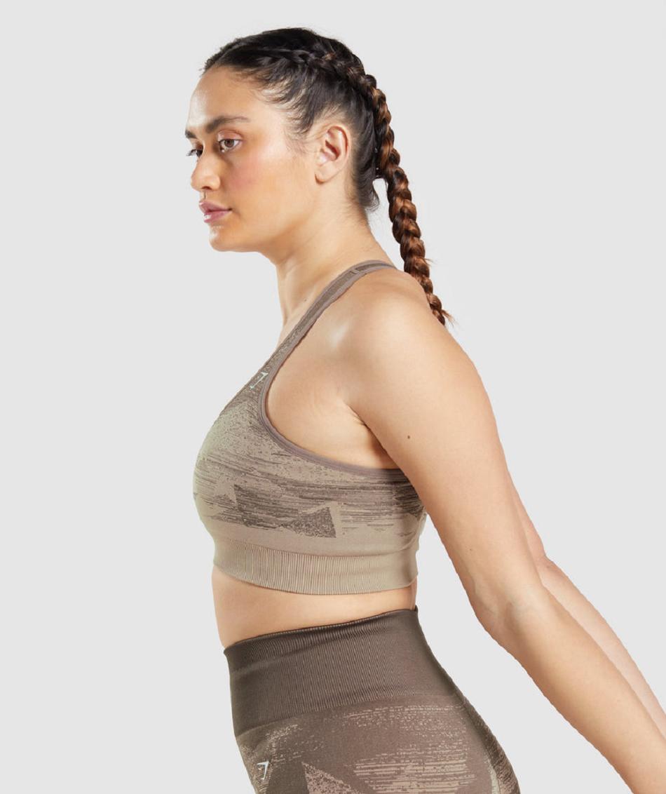 Sujetadores Deportivos Gymshark Adapt Ombre Seamless Mujer Marrones | CO 2199OKI